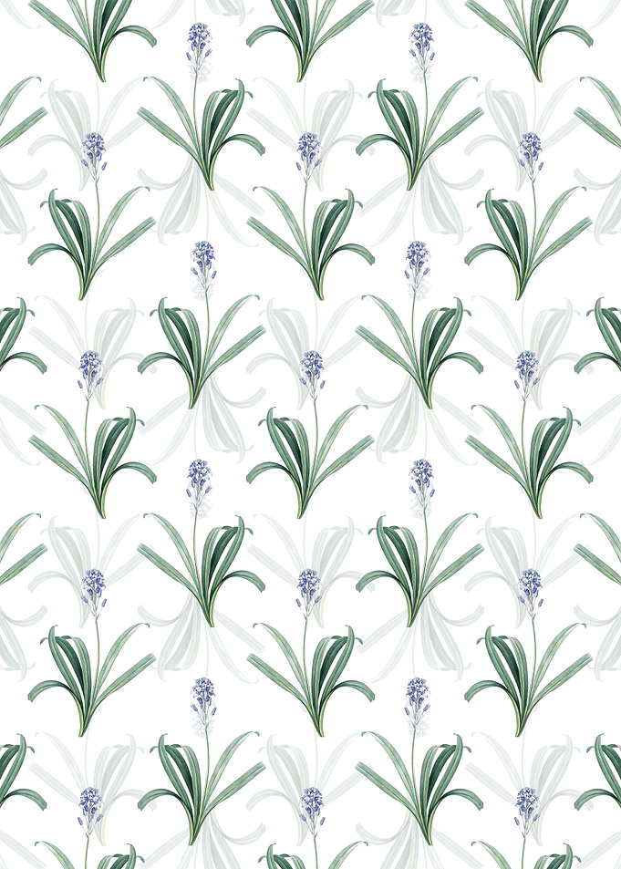 Spanish Bluebell Pattern