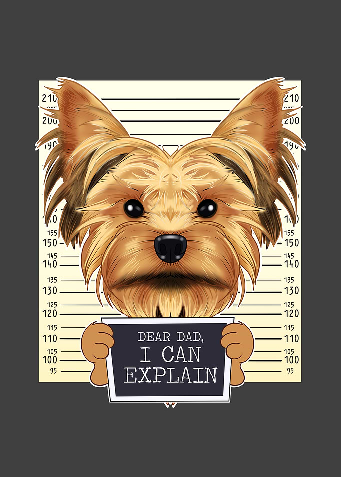 Yorkshire Terrier Dog Dad