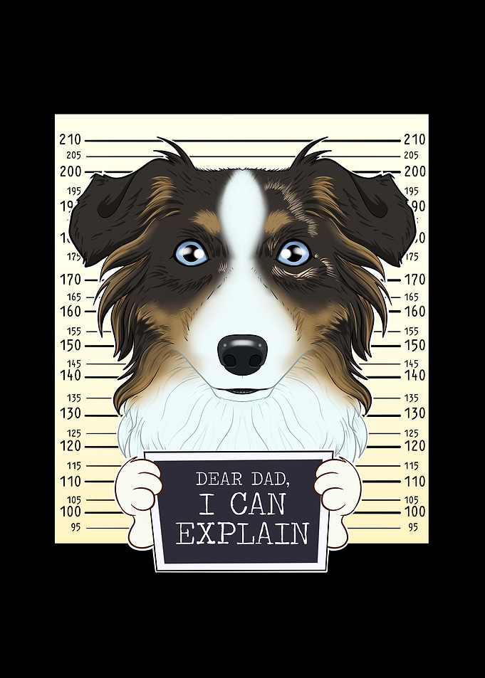 Australian Shepherd Dad