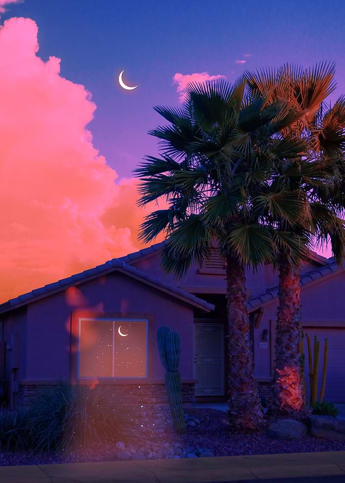 Dreaming Lucid