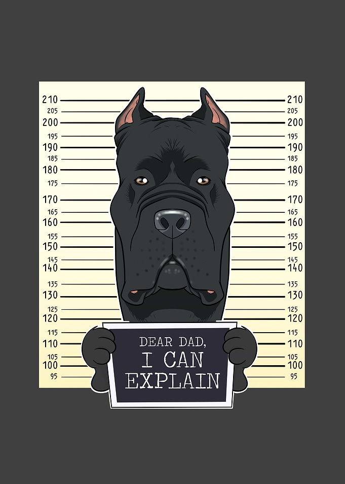 Cane Corse Dog Dad
