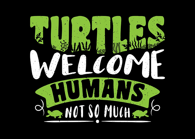 Sea Turtle