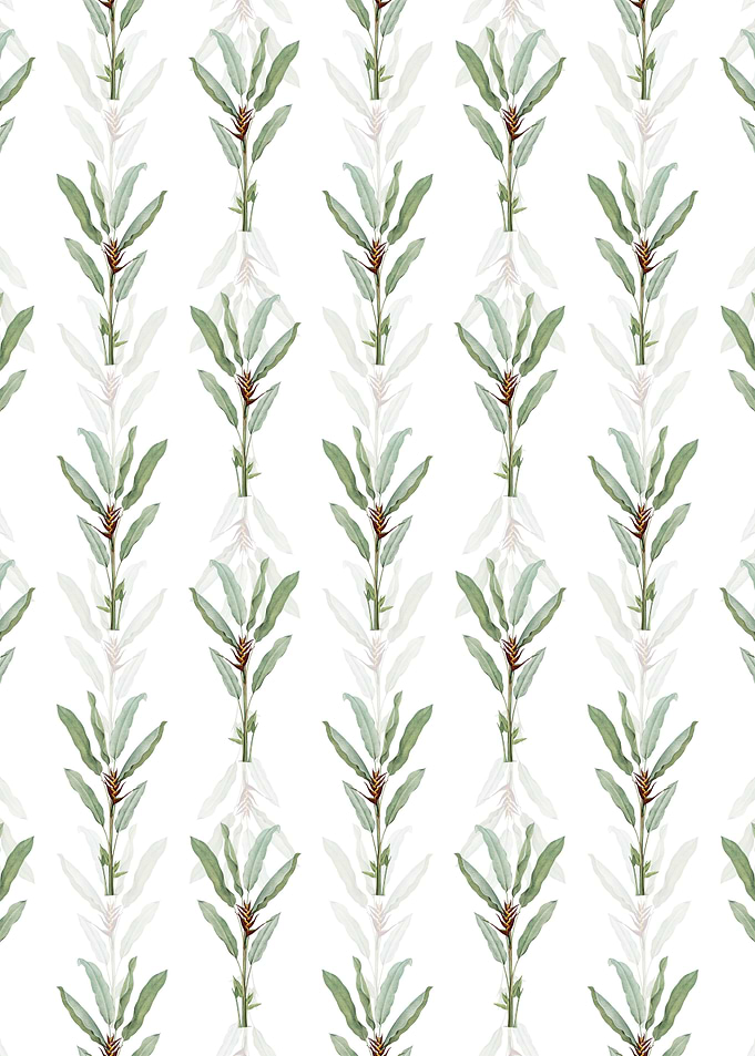 Parrot Heliconia Pattern
