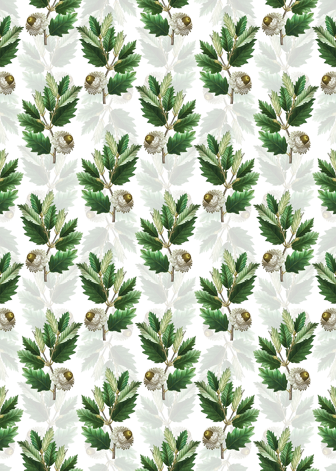 Floral Valonia Oak Pattern