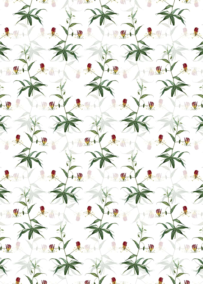 Floral Flame Lily Pattern