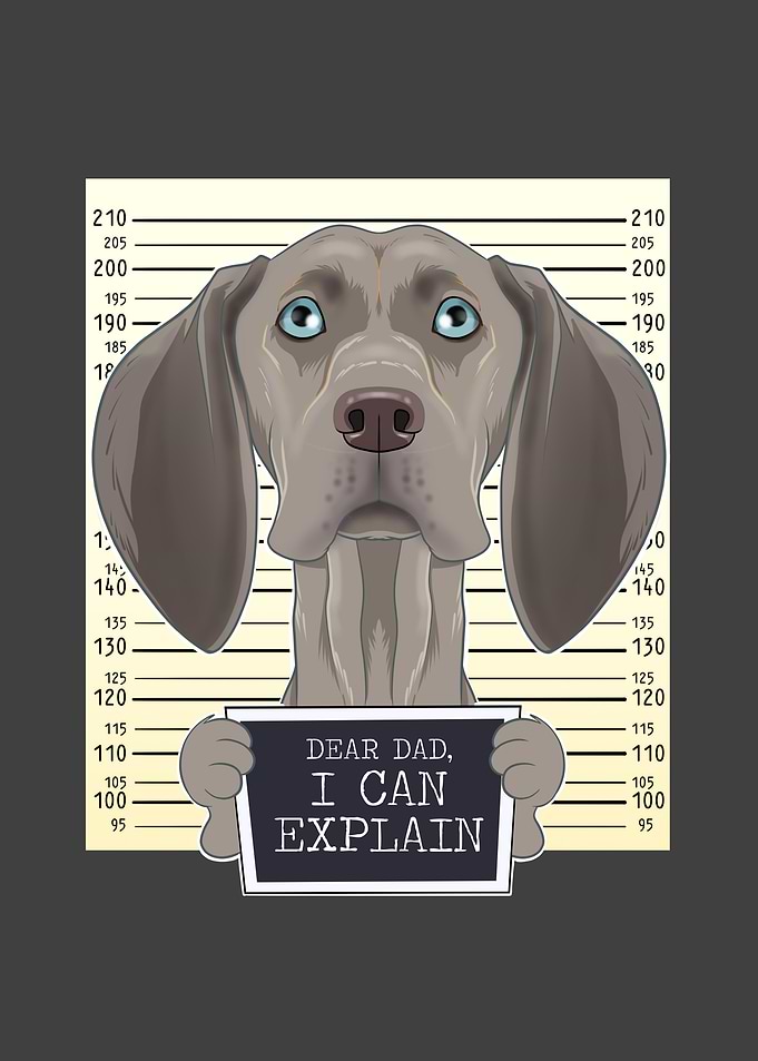 Weimaraner Dog Dad