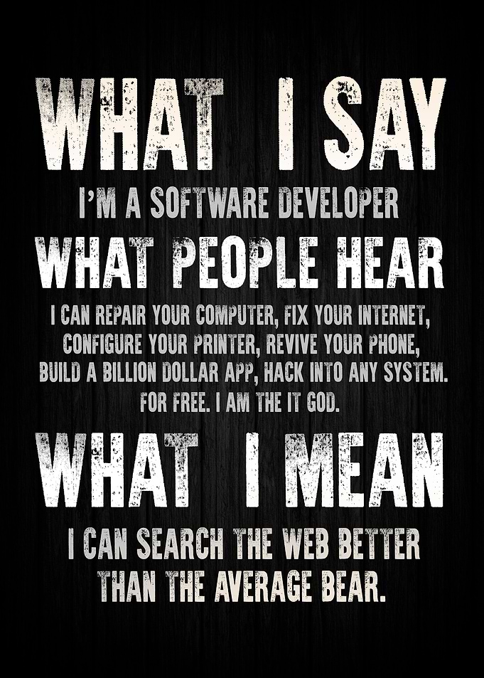 Software Developer