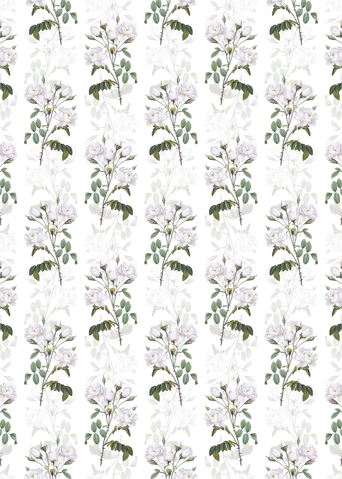 Floral White Rose Pattern