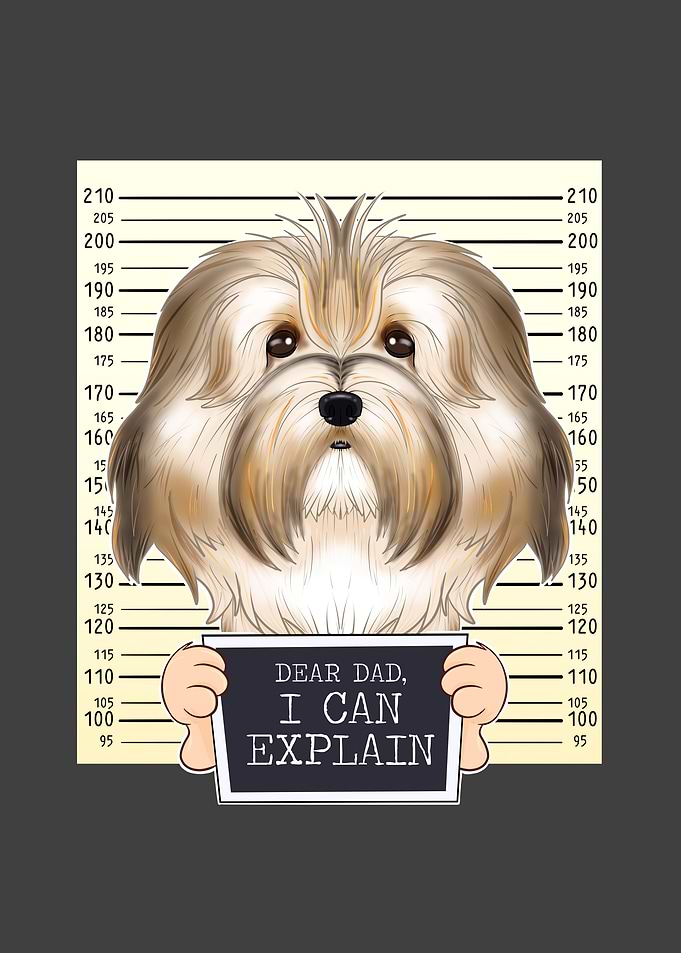 Havanese Dog Dad