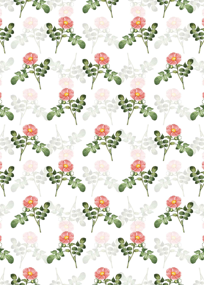 Japanese Rose Pattern