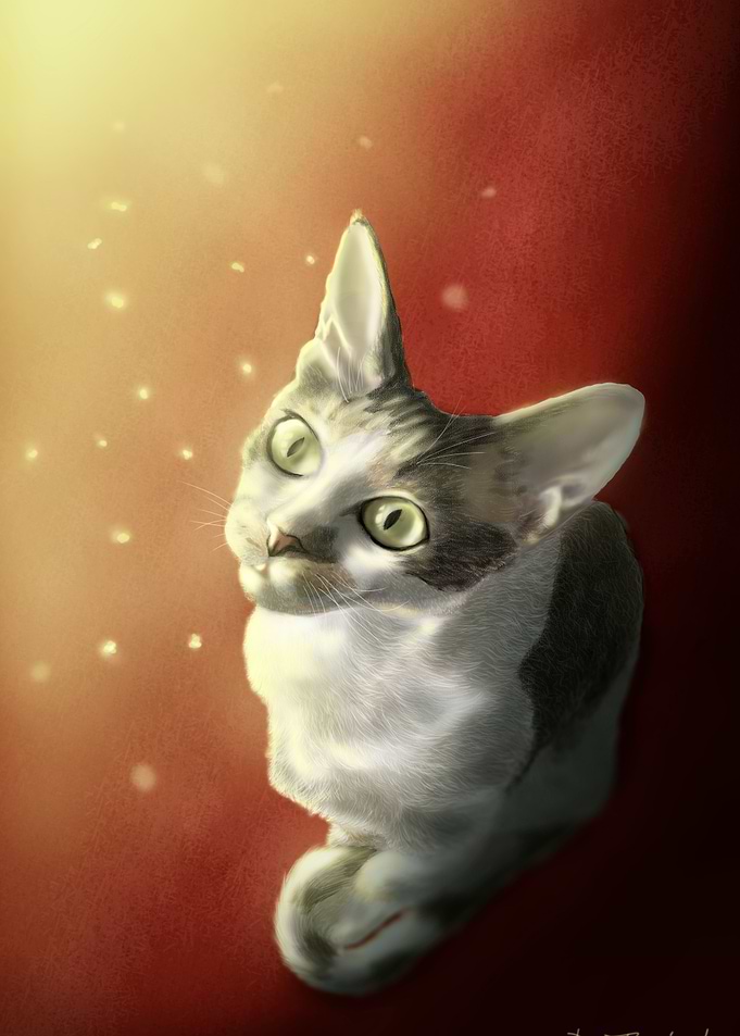 Curious Kitten