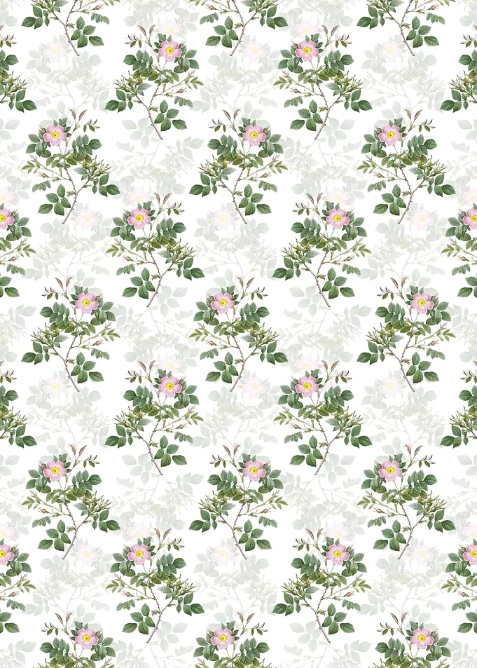 White Malmedy Rose Pattern