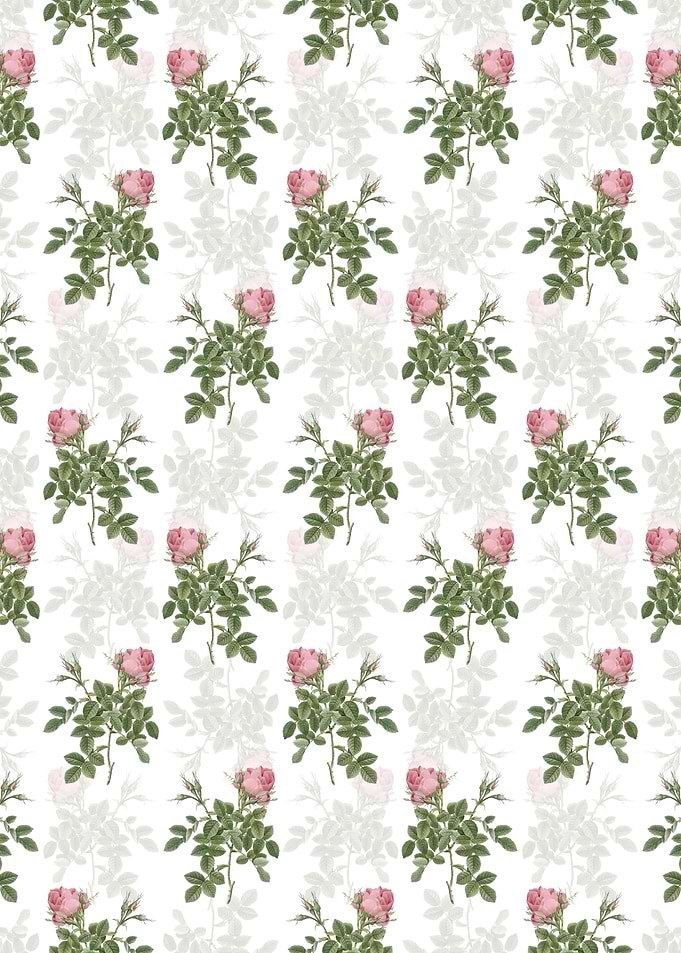 Dwarf Damask Rose Pattern