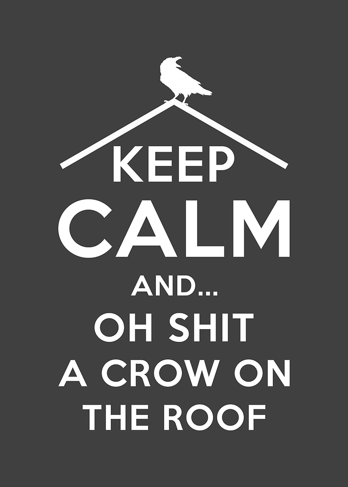 Superstition Raven Roof