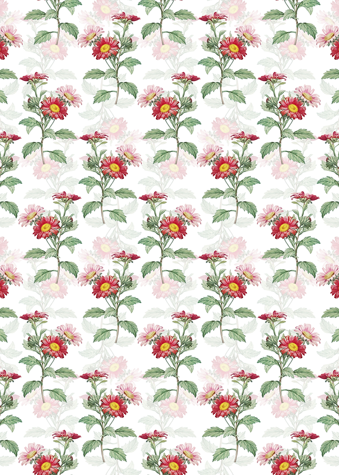 Floral Red Aster Pattern