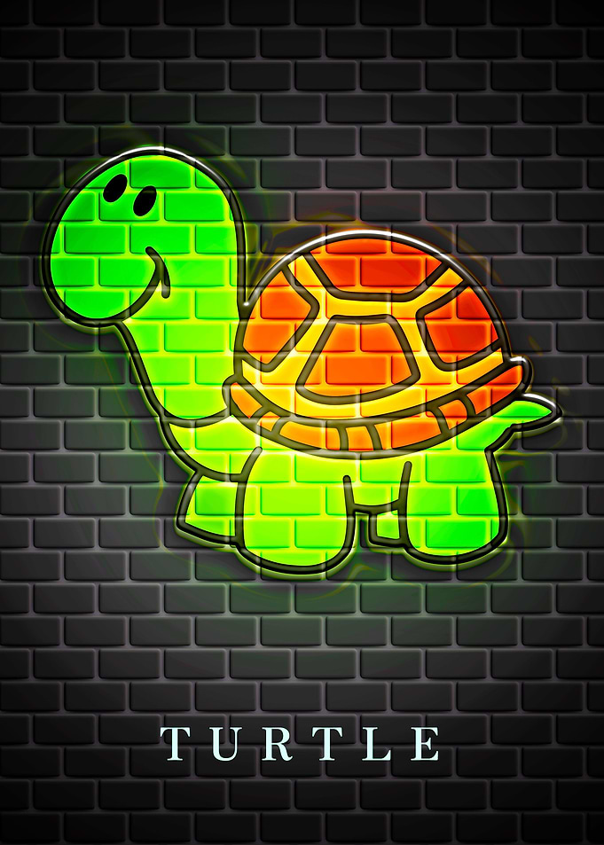 TURTLE Cute Animal
