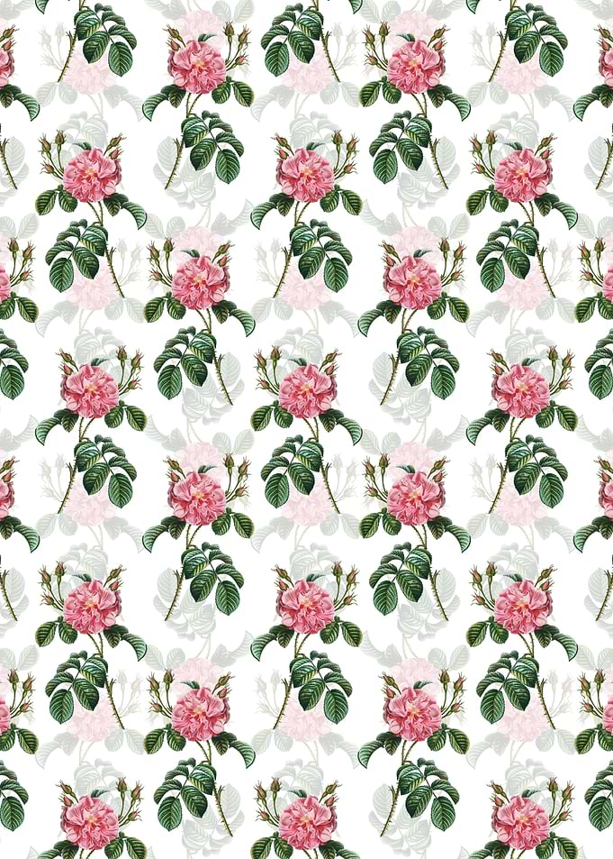Pink Wild Rose Pattern
