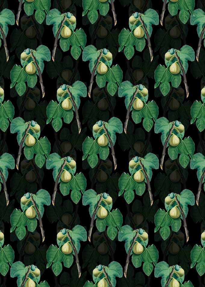 Floral Fig Branch Pattern