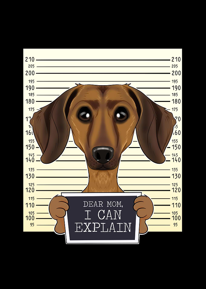 Dachshund Dog Mom