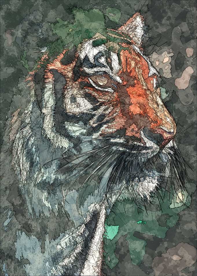 Tiger Head