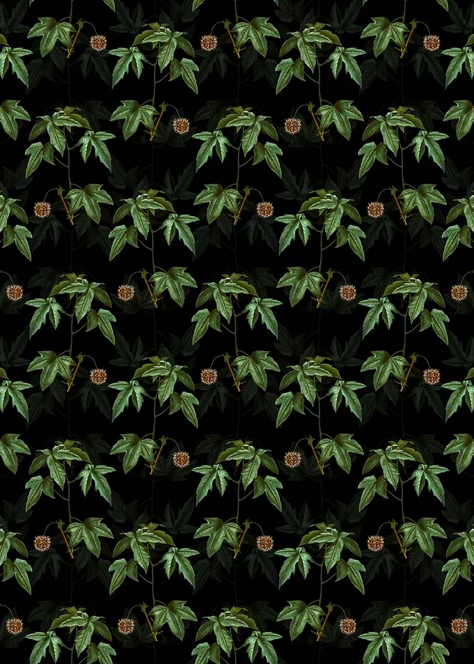 American Sweetgum Pattern