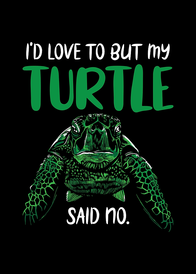 Sea Turtle