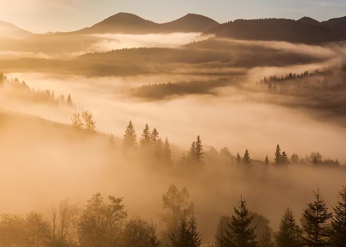 Foggy dawn in the autumn i