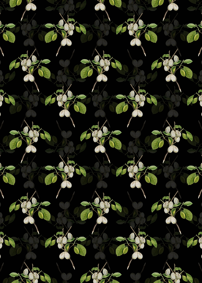 Black Floral Plum Pattern