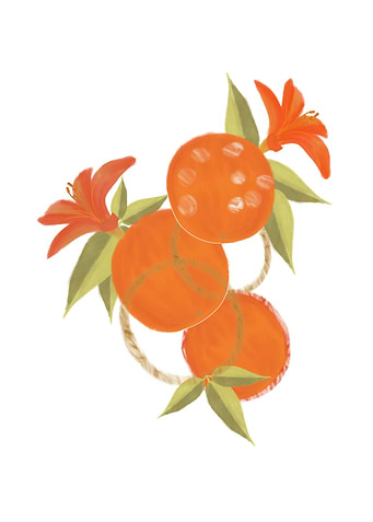 Orange illustration