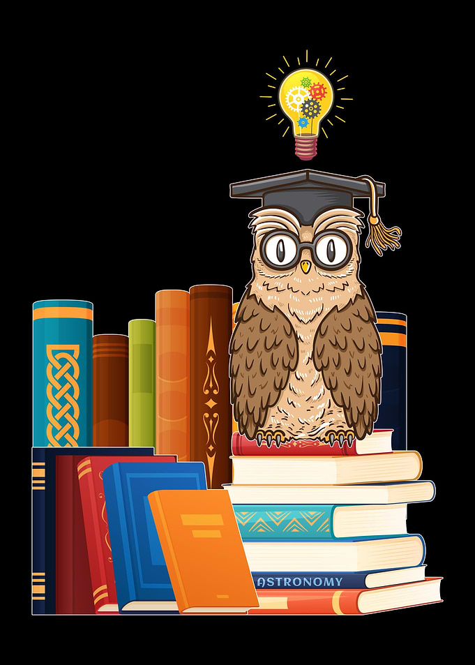Library Owl Book Cute Bird