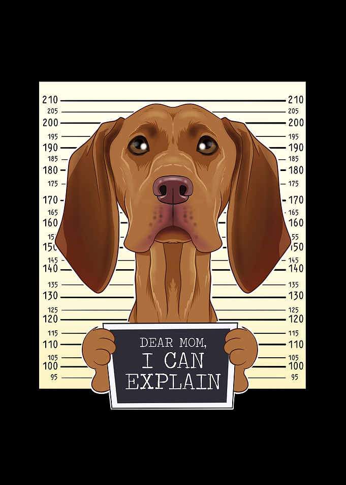 Vizsla Dog Mom Mothers Day