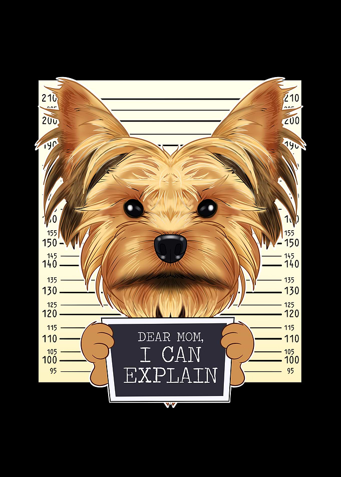 Yorkshire Terrier Dog Mom