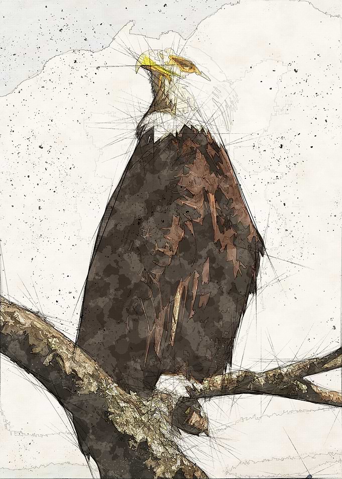 Eagle