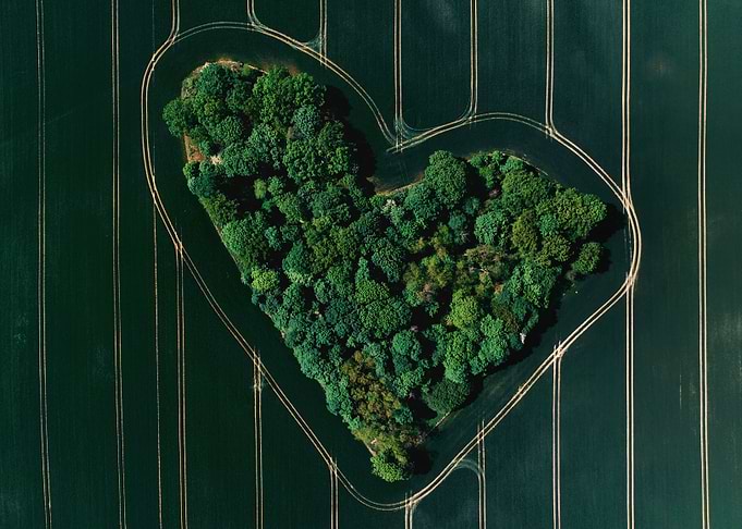 Green heart