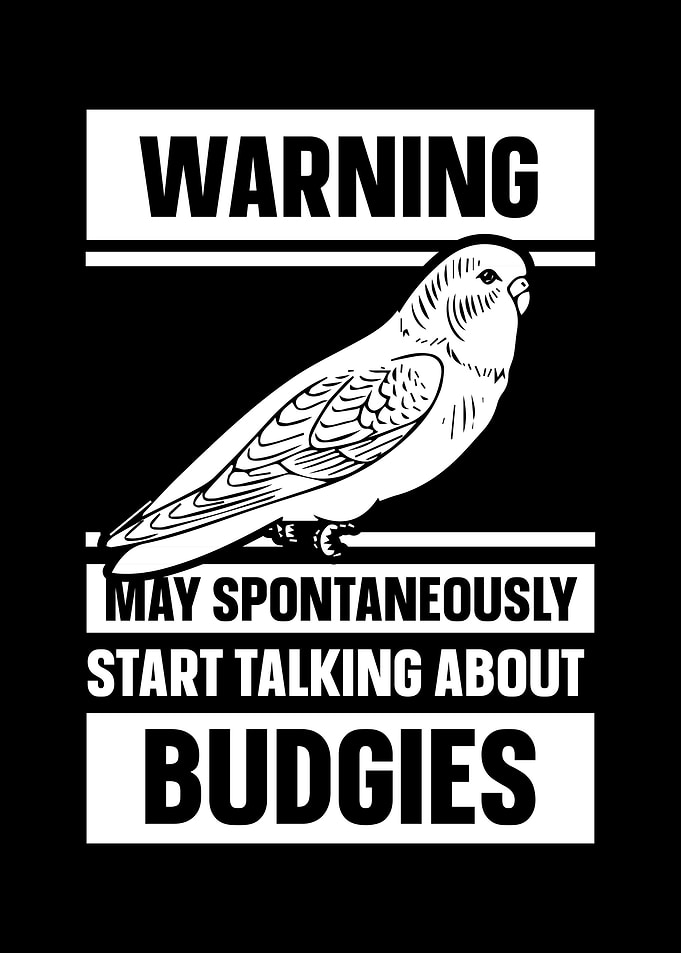 Budgie Budgeriga