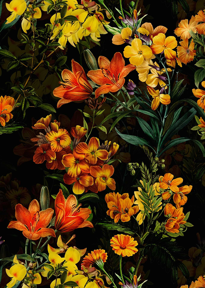 Night Flower Garden