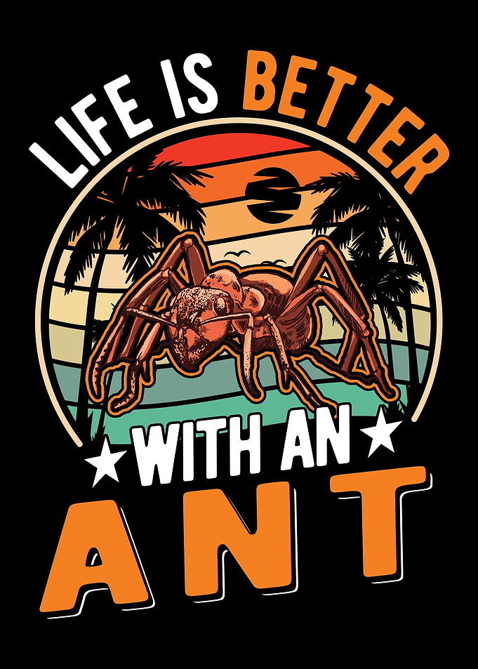 Ant Farm Ant Keeper