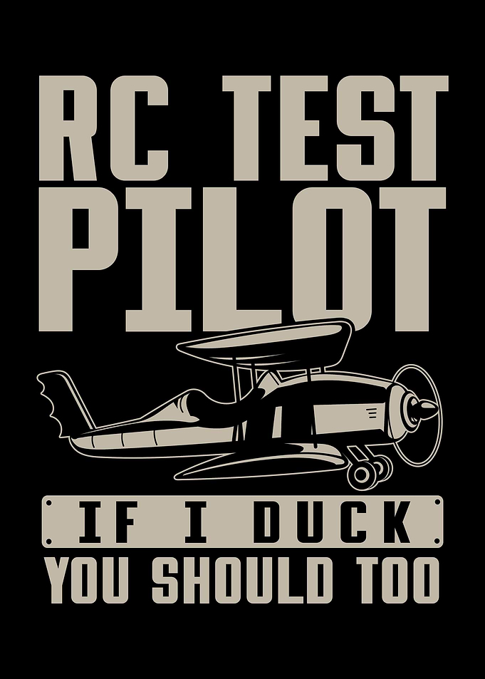 RC Aircraft Pilot Plane