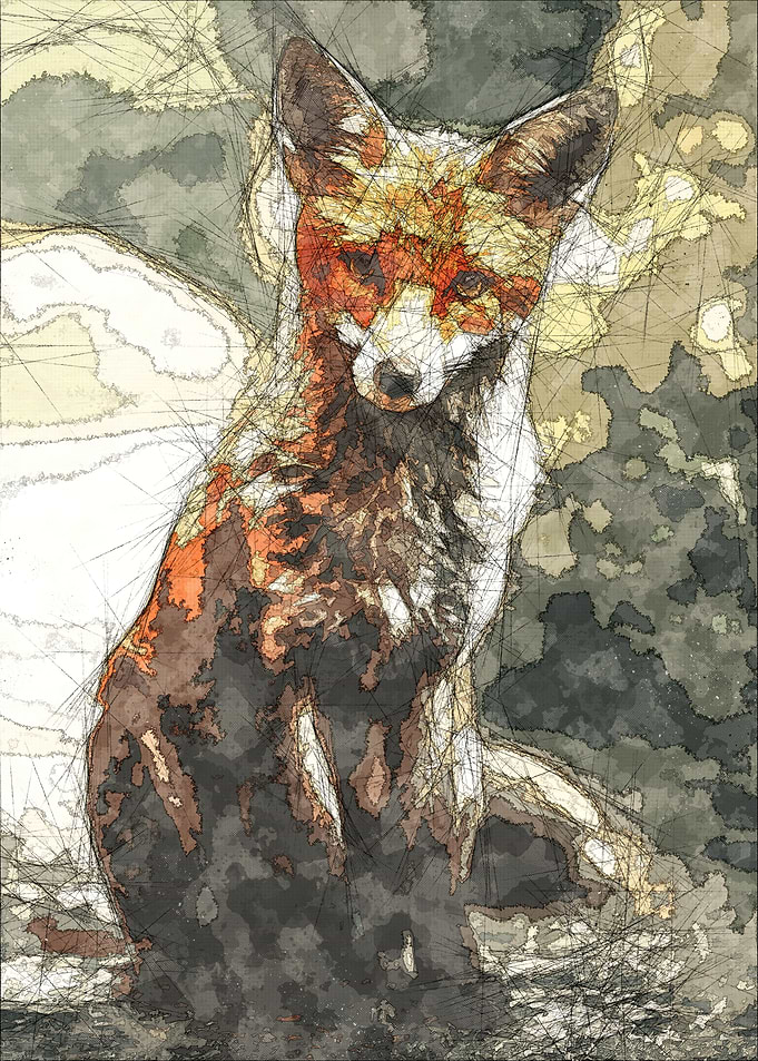 Little Fox
