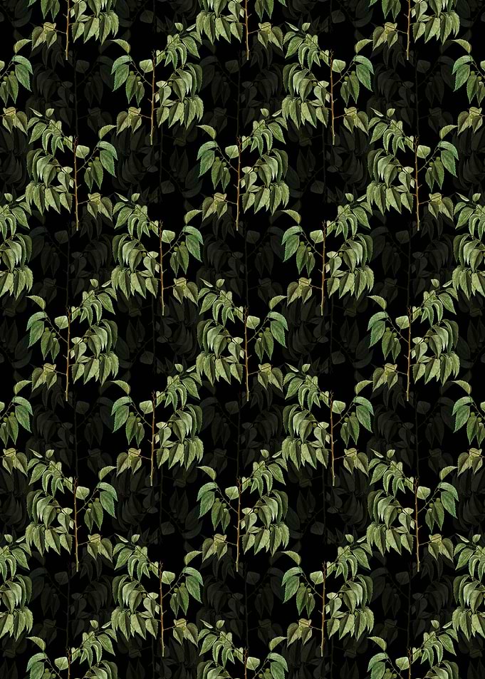 Common Hackberry Pattern