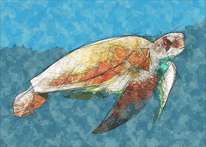 Swimming Turtle