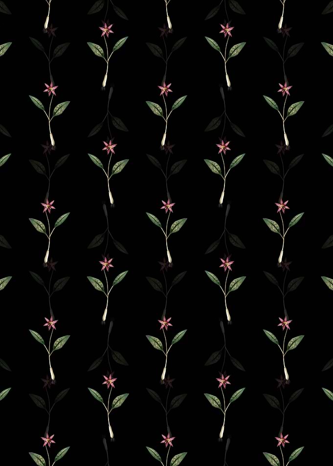 Floral Erythronium Pattern