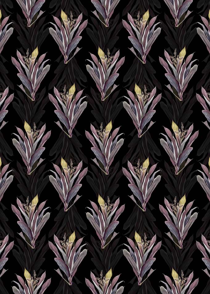 Black Cordyline Fruticosa