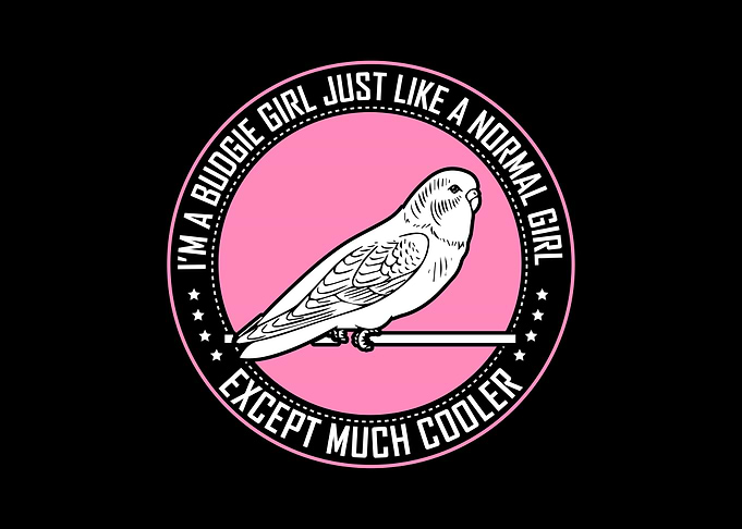 Budgie Budgeriga