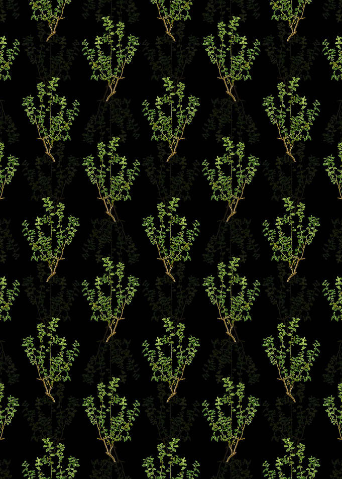 Floral Cape Myrtle Pattern