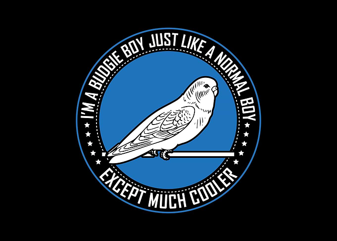 Budgie Budgeriga