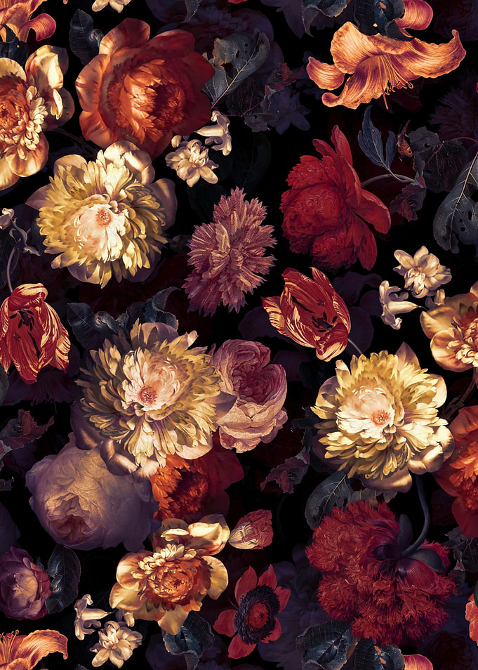 Poppies Vintage Night