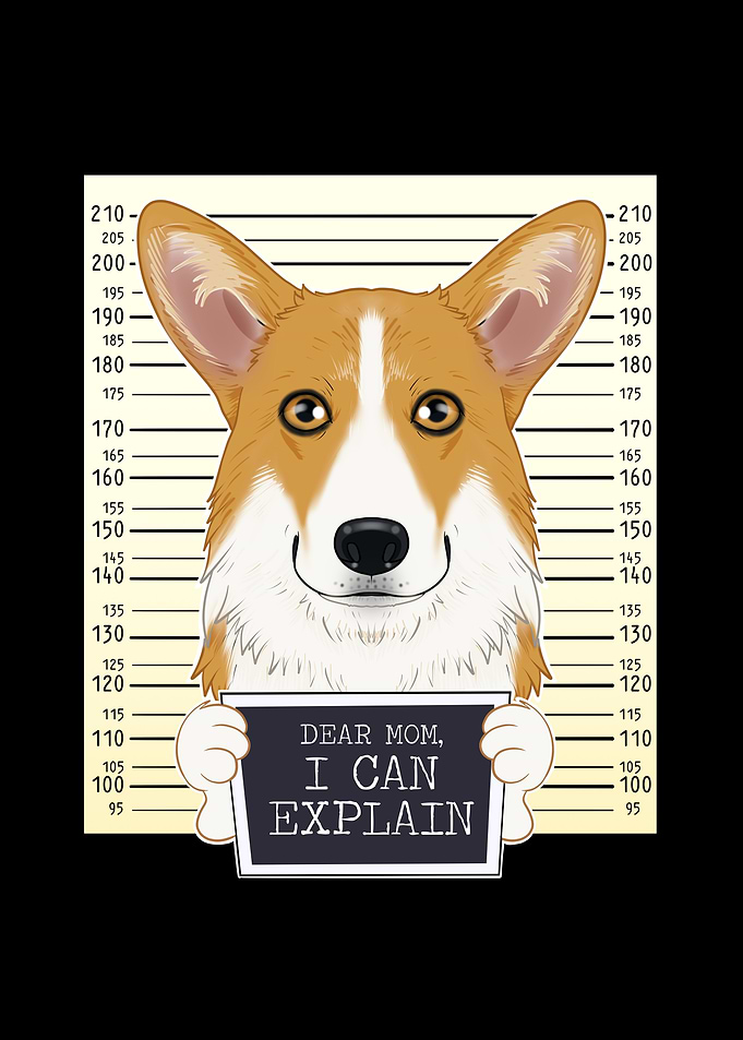 Welsh Corgi Dog Mom