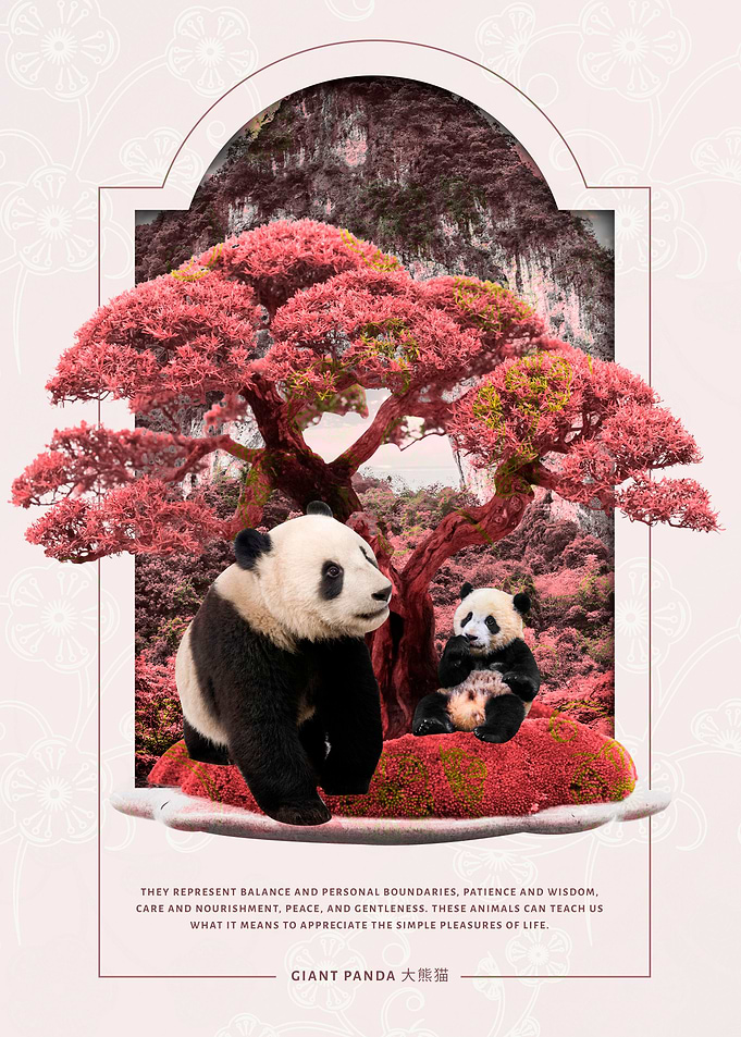 Panda cherry blossom japan