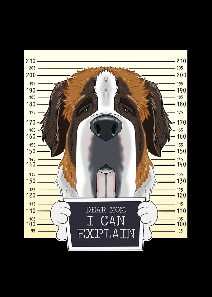 Saint Bernard Dog Mom